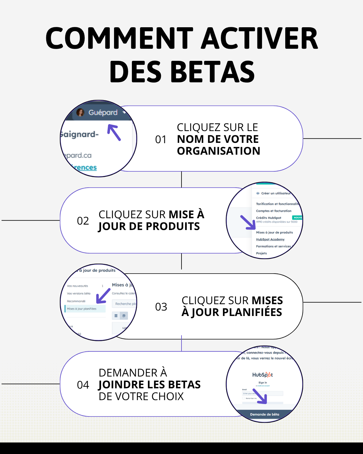 Comment activer des betas hubspot