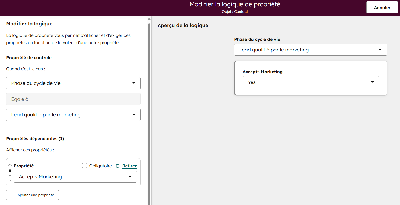 Capture d’écran 2026-01-16 191554